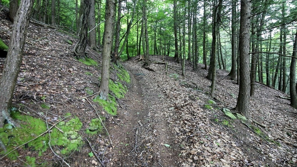 0 Huntington Road Russell, MA 01071 - Photo 7 of 36 a view of a forest with trees in the background