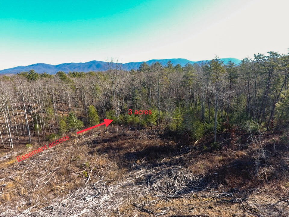 0 Pond Ridge Road, Unit 2 Tellico Plains, TN 37385 - Photo 1 of 10 Gallery Image 1