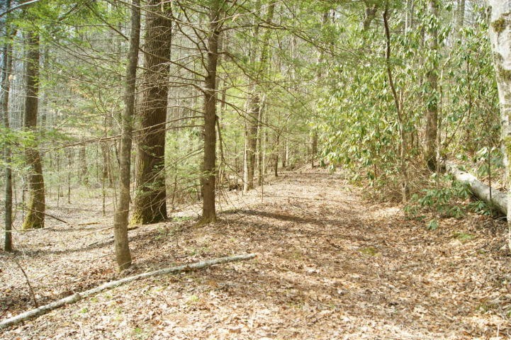 0 Pond Ridge Road, Unit 2 Tellico Plains, TN 37385 - Photo 2 of 10 Gallery Image 2