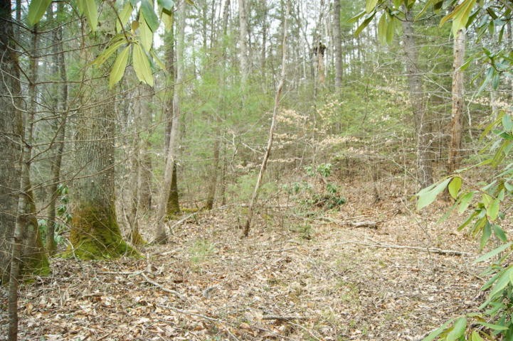 0 Pond Ridge Road, Unit 2 Tellico Plains, TN 37385 - Photo 5 of 10 Gallery Image 5