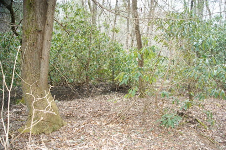 0 Pond Ridge Road, Unit 2 Tellico Plains, TN 37385 - Photo 6 of 10 Gallery Image 6