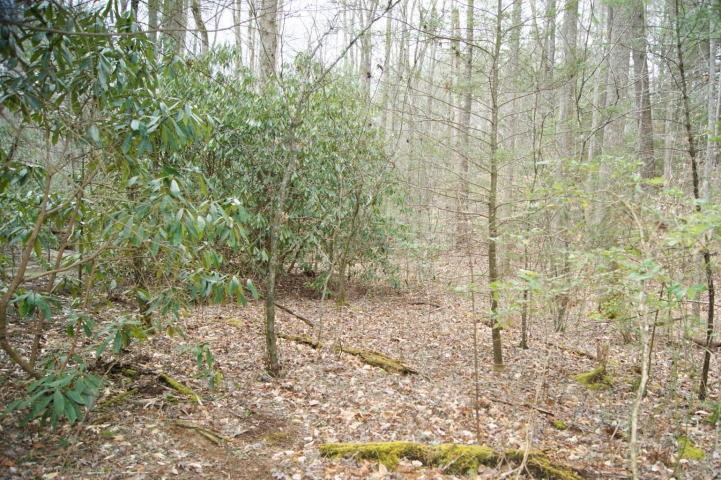 0 Pond Ridge Road, Unit 2 Tellico Plains, TN 37385 - Photo 7 of 10 Gallery Image 7