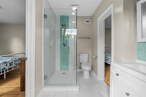 a bathroom with a shower and a toilet