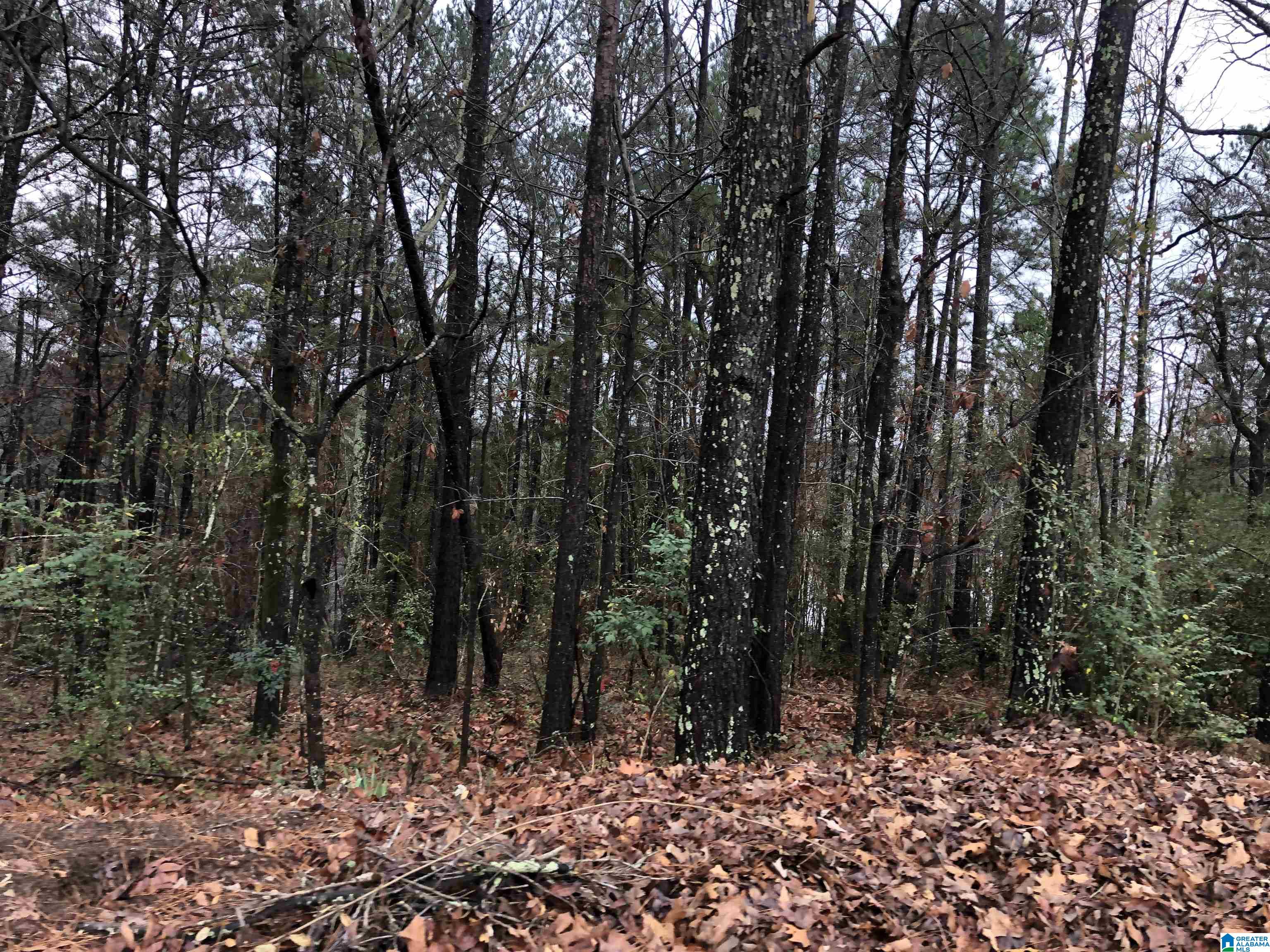 0 Autumn Ridge Trail, Unit 26 Pell City, AL 35128 - Photo 15 of 31