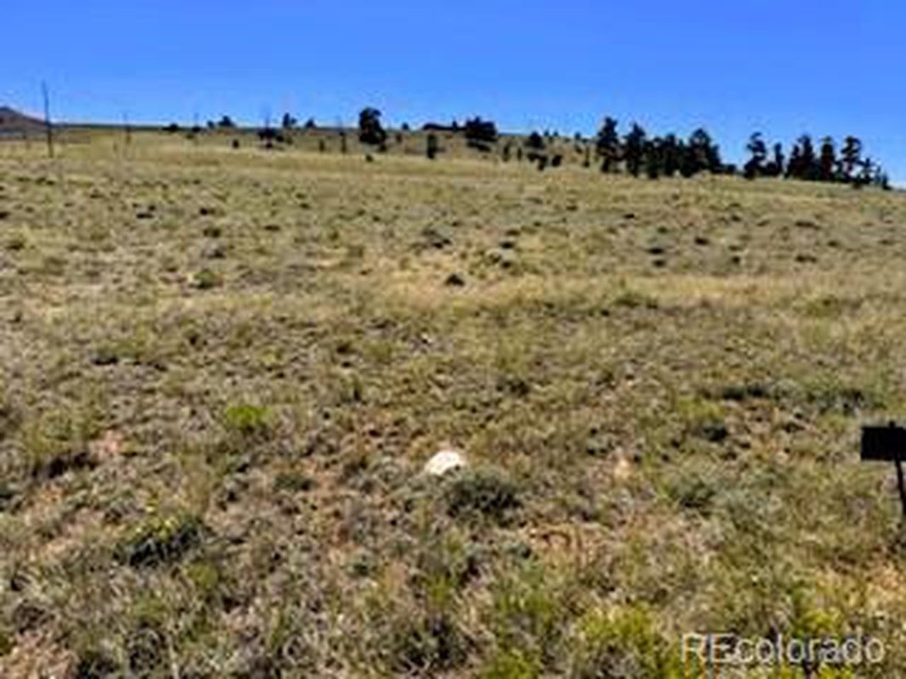 5556 Shavano Road Hartsel, CO 80449 - Photo 12 of 21 a view of a large building with lots of trees in the background
