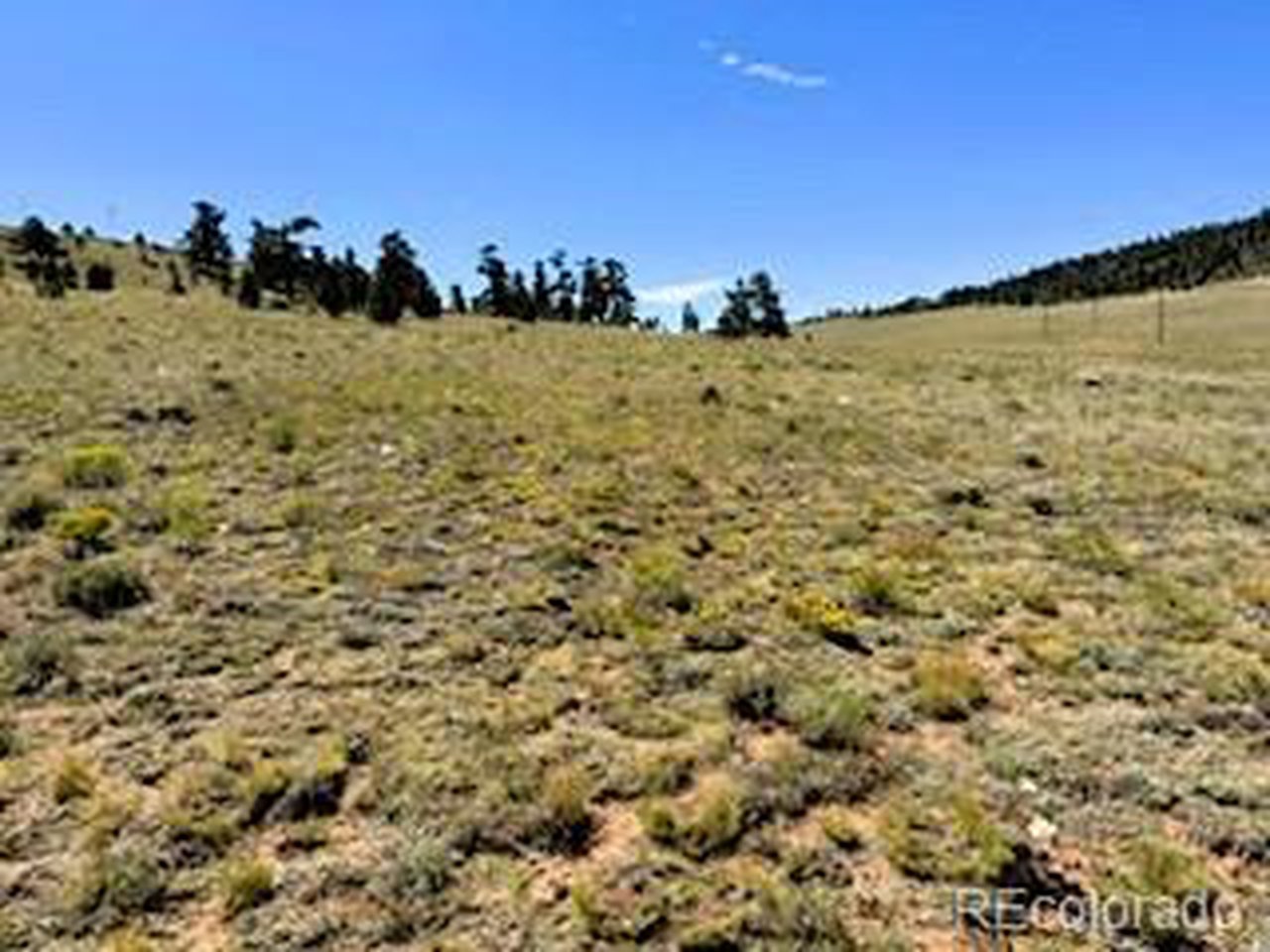 5556 Shavano Road Hartsel, CO 80449 - Photo 15 of 21 a view of a field with an ocean