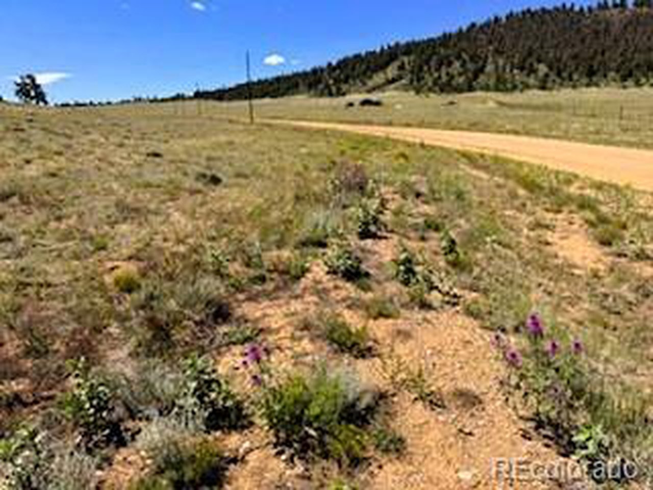 5556 Shavano Road Hartsel, CO 80449 - Photo 18 of 21 a view of an ocean beach