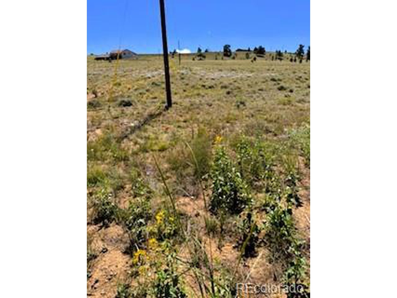 5556 Shavano Road Hartsel, CO 80449 - Photo 19 of 21 a bathroom with a shower