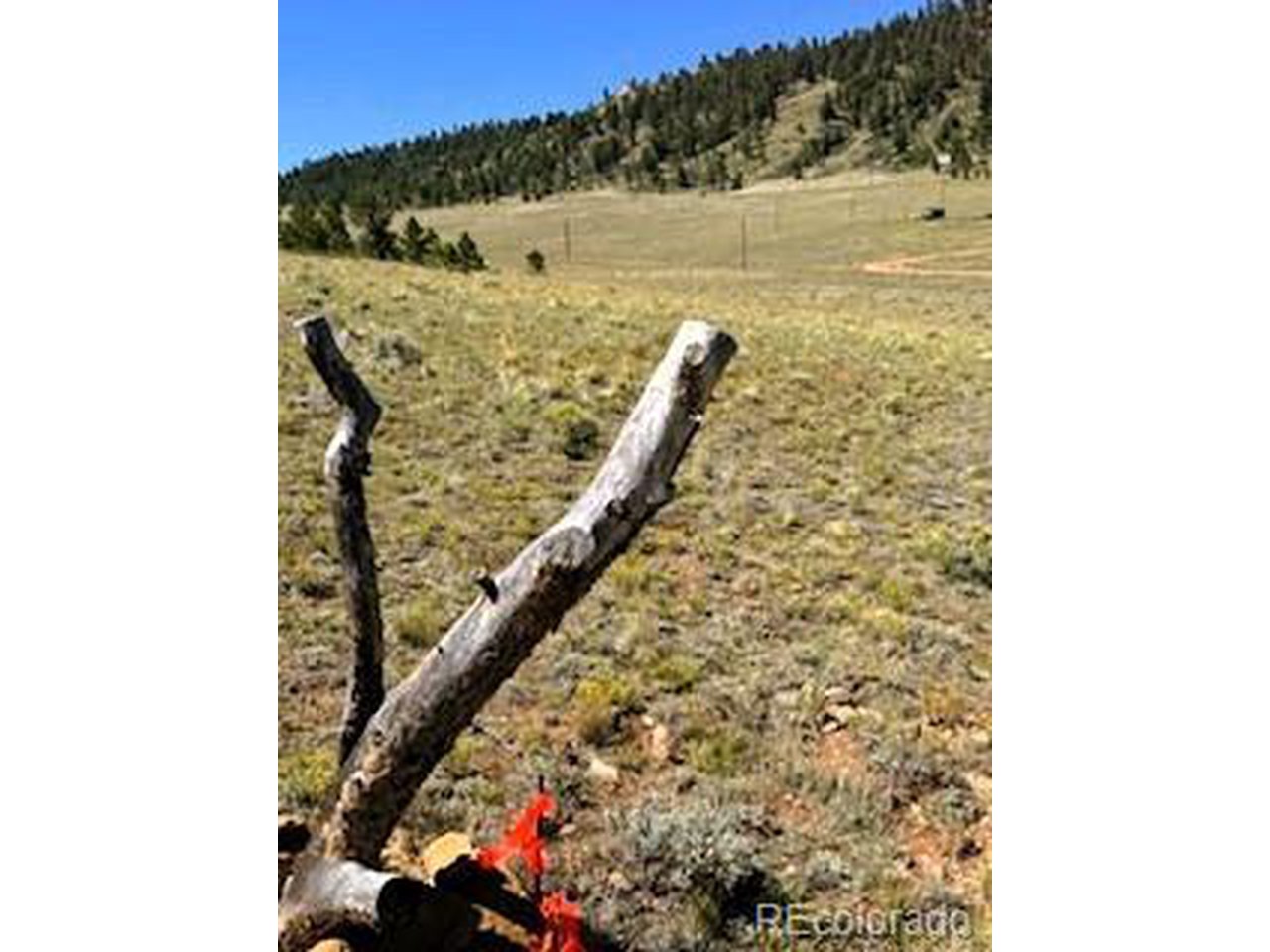 5556 Shavano Road Hartsel, CO 80449 - Photo 3 of 21 a view of a balcony with a yard and mountain view