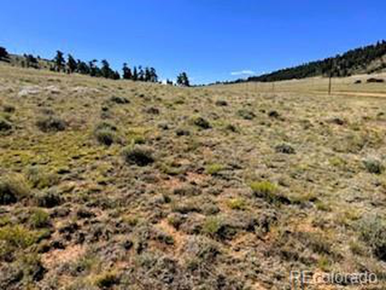 5556 Shavano Road Hartsel, CO 80449 - Photo 4 of 21 a view of a field with a tree in the background