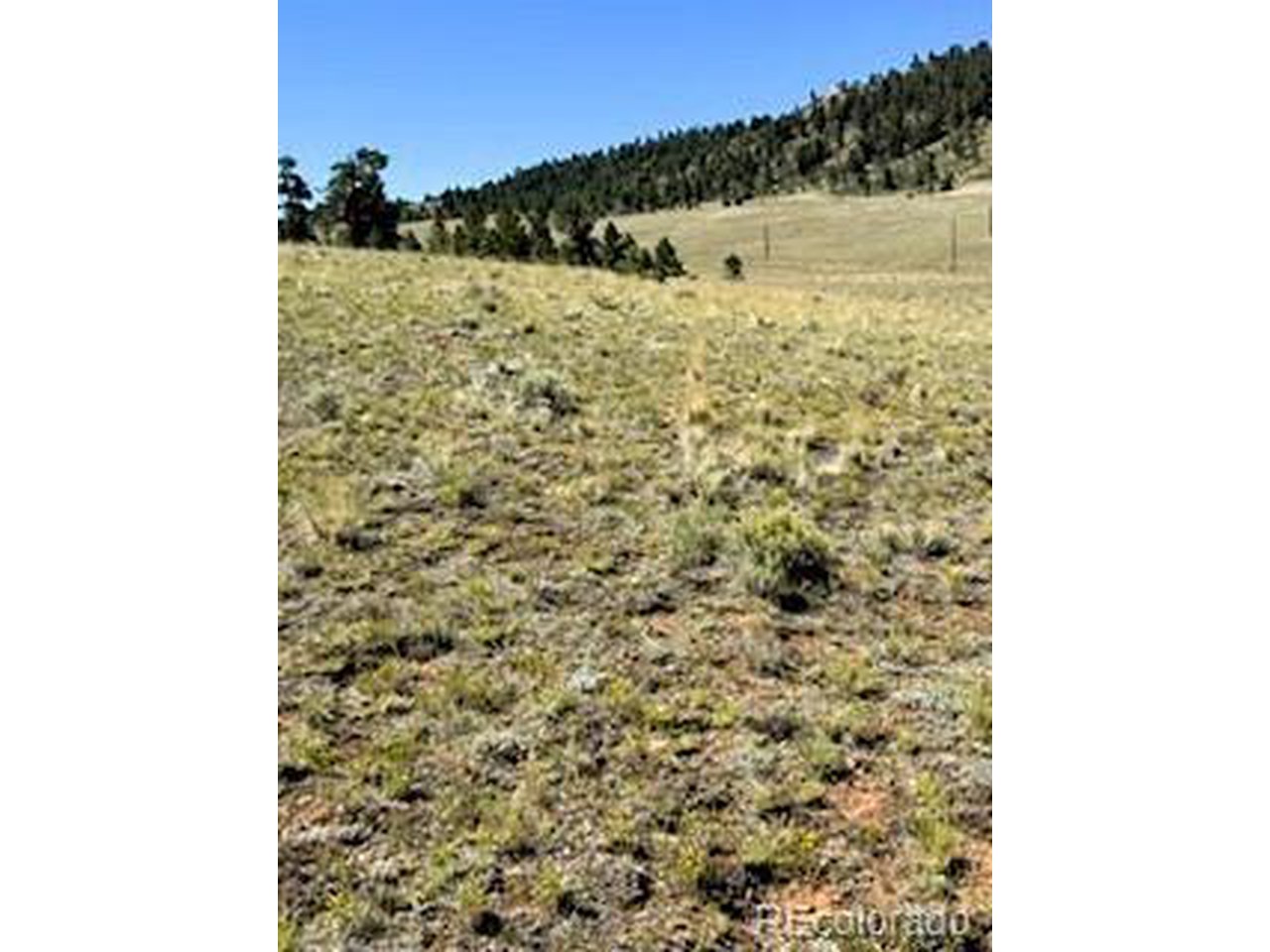 5556 Shavano Road Hartsel, CO 80449 - Photo 5 of 21 a bathroom with a shower curtain