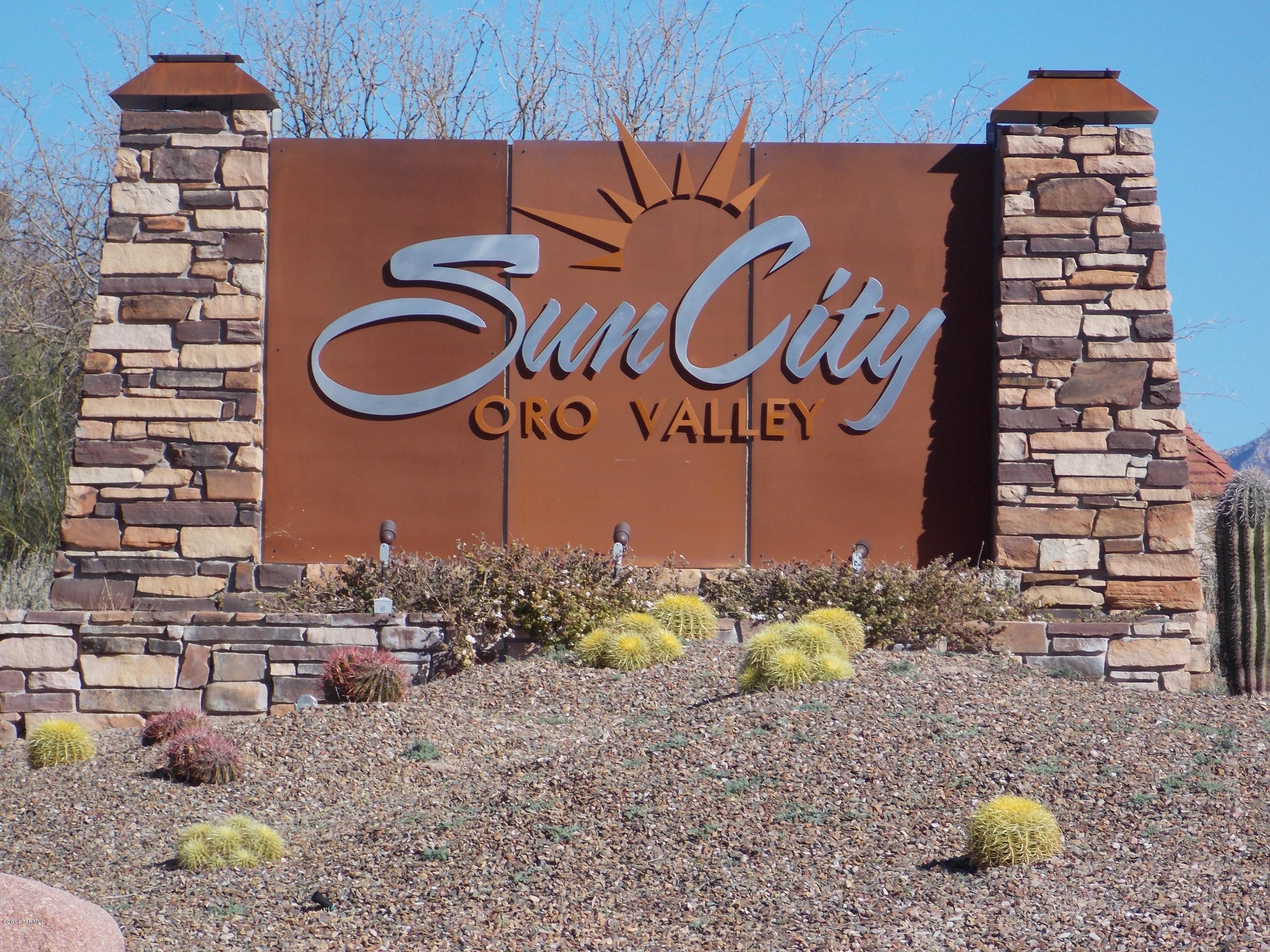 1686 East Crown Ridge Way Tucson, AZ 85755 - Photo 31 of 46