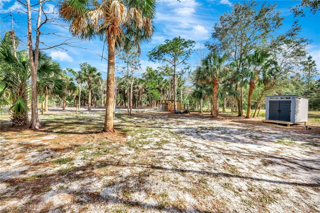 2546 4th Street Northwest Naples, FL 34120 - Photo 30 of 44 a backyard of a house with lots of green space