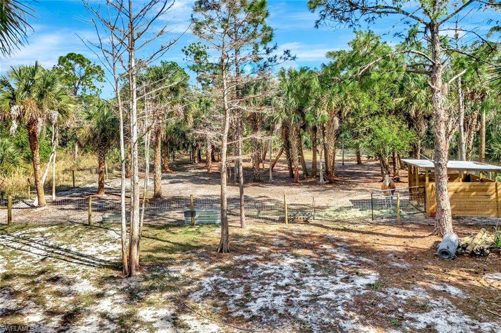 2546 4th Street Northwest Naples, FL 34120 - Photo 31 of 44 View of yard