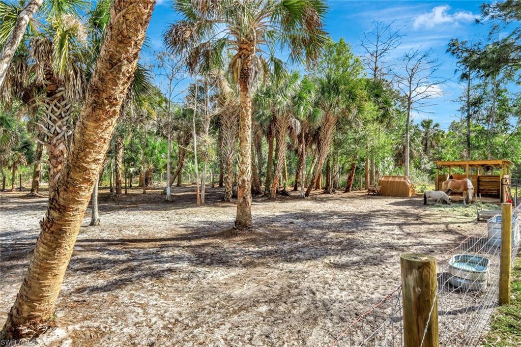 2546 4th Street Northwest Naples, FL 34120 - Photo 32 of 44 View of yard