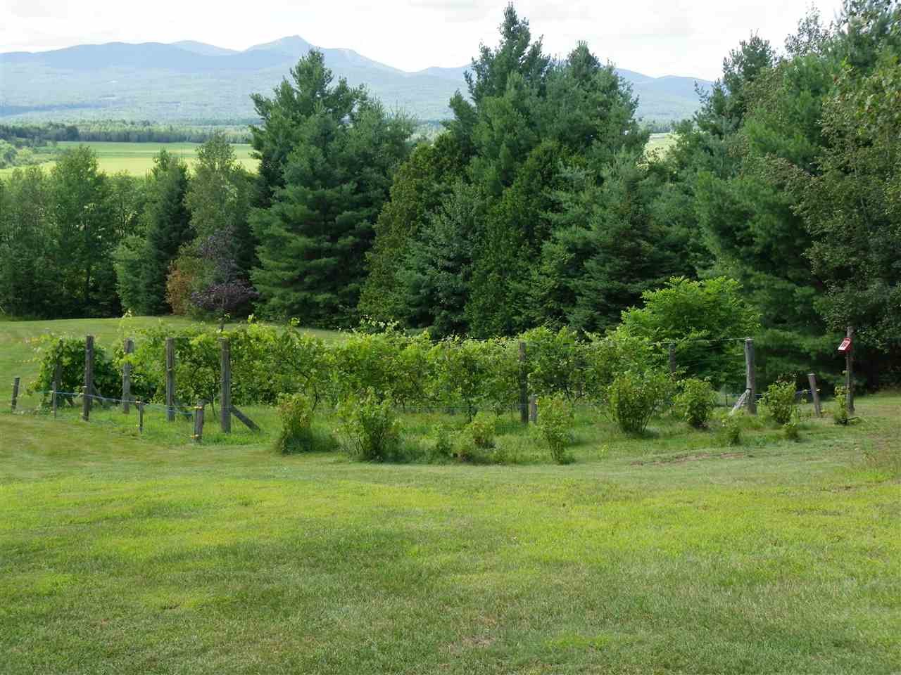 1459 Tetreault Road Newport Town, VT 05857 - Photo 27 of 29 Gallery Image 27