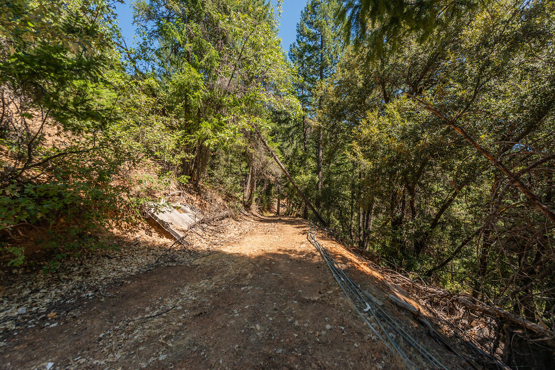 1511 Upper Moore Gulch Road Trinity Center, CA 96091 - Photo 62 of 62 DSC_6738