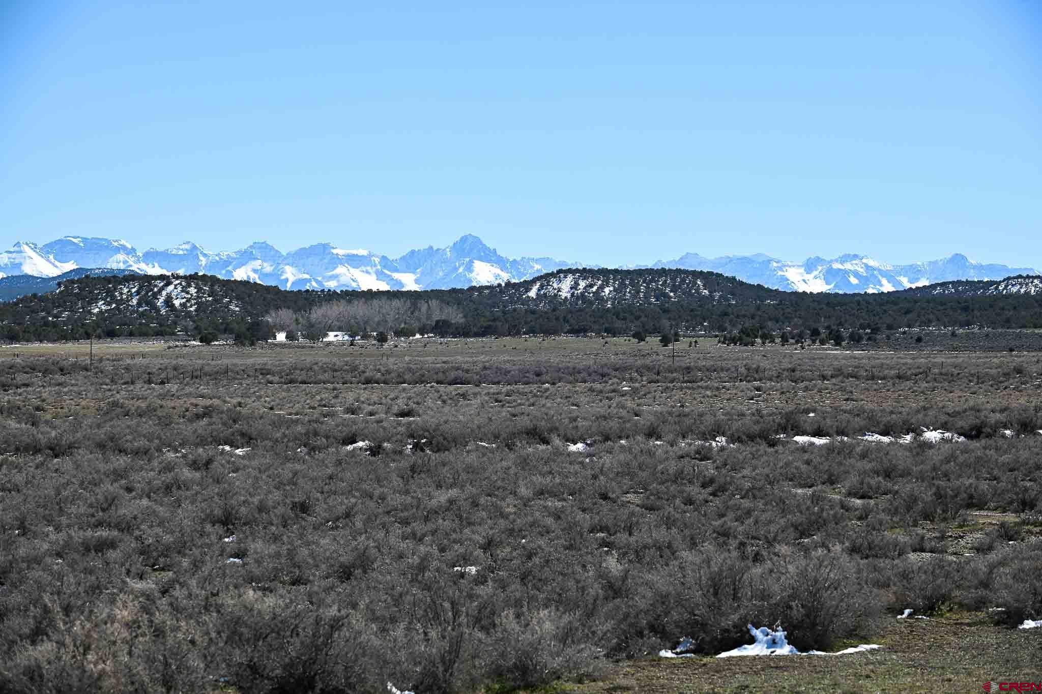 22120 Government Springs Road Montrose, CO 81403 - Photo 11 of 28 a view of a dry yard with mountain and trees