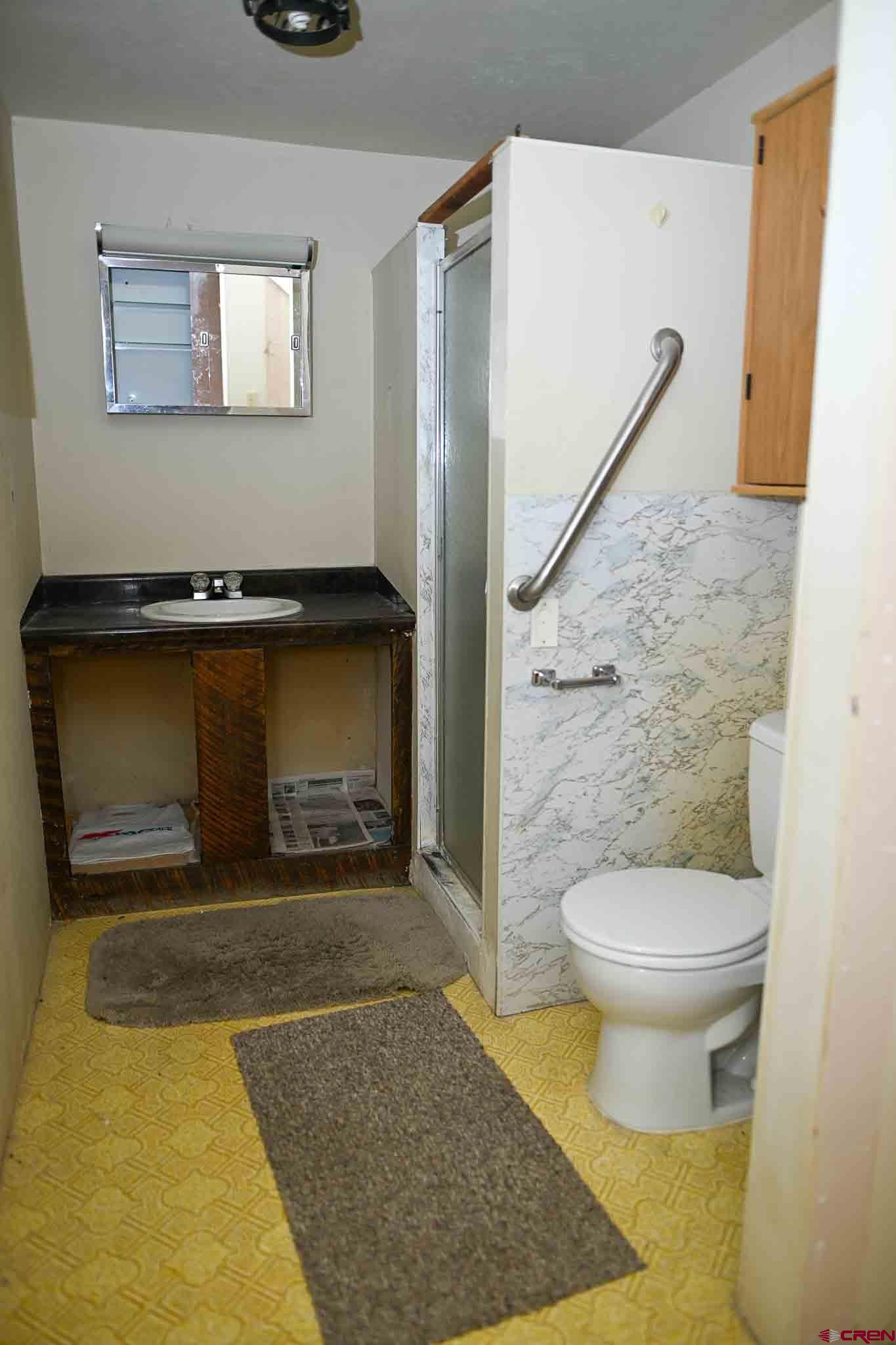 22120 Government Springs Road Montrose, CO 81403 - Photo 24 of 28 a bathroom with a sink and a toilet