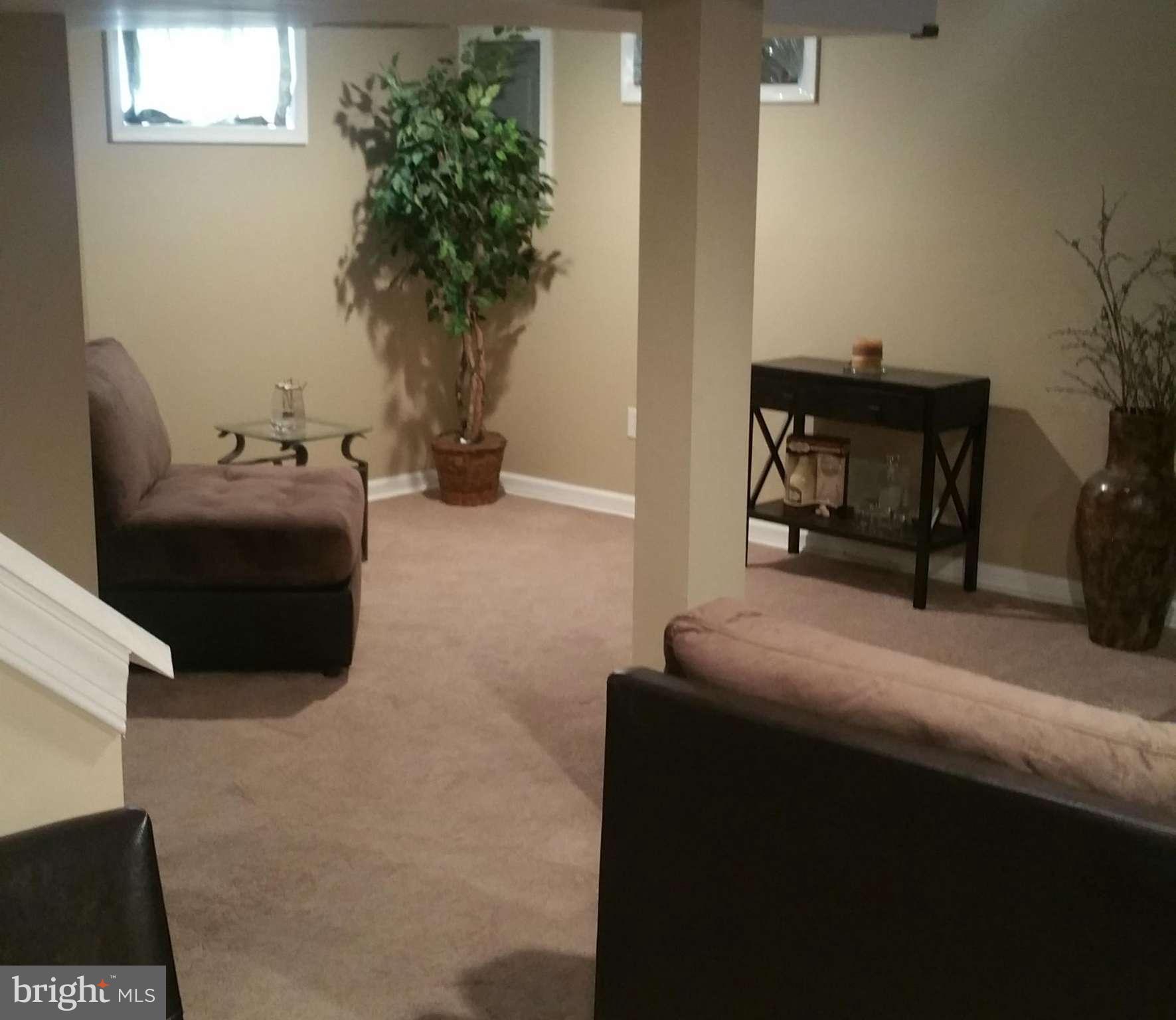 4127 Maple Road Morningside, MD 20746 - Photo 15 of 28 Basement