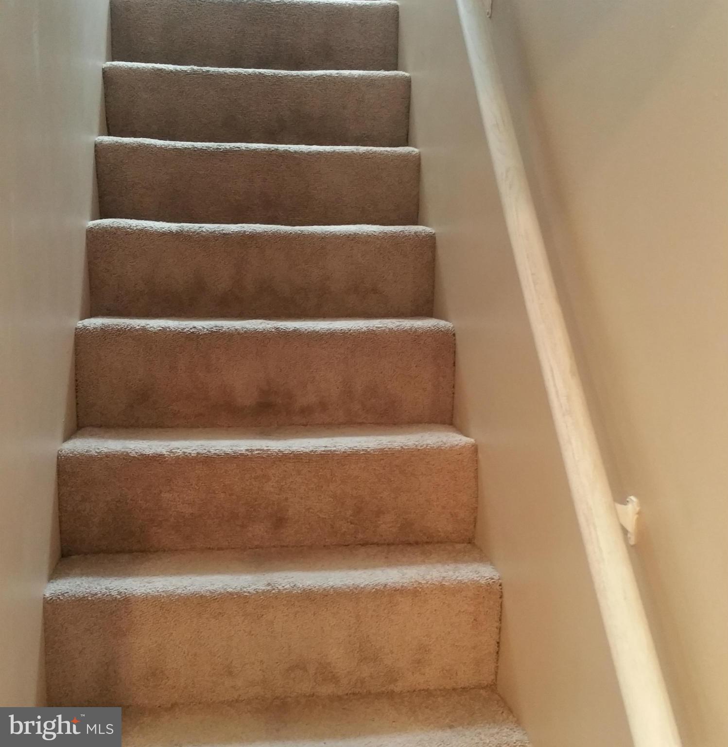 4127 Maple Road Morningside, MD 20746 - Photo 23 of 28 Interior (General)
