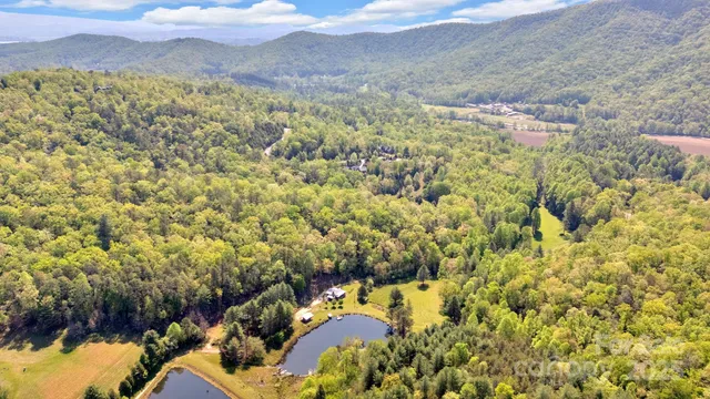 a view of a lush green field