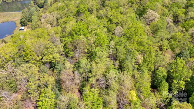 a view of a house with a big yard plants and large trees
