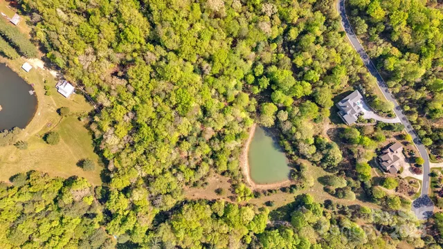 a view of a yard with plants and tree
