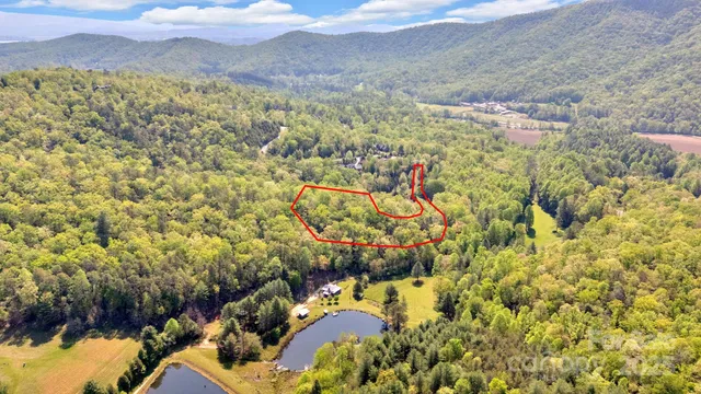 a view of a big yard with large trees