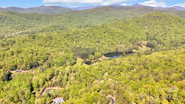 a view of a lake with a mountain in the background