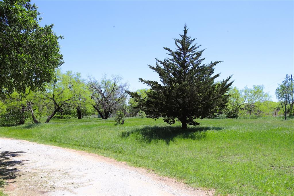 10543 Old Joy Shannon Road Henrietta, TX 76365 - Photo 20 of 36 a view of a garden with a tree