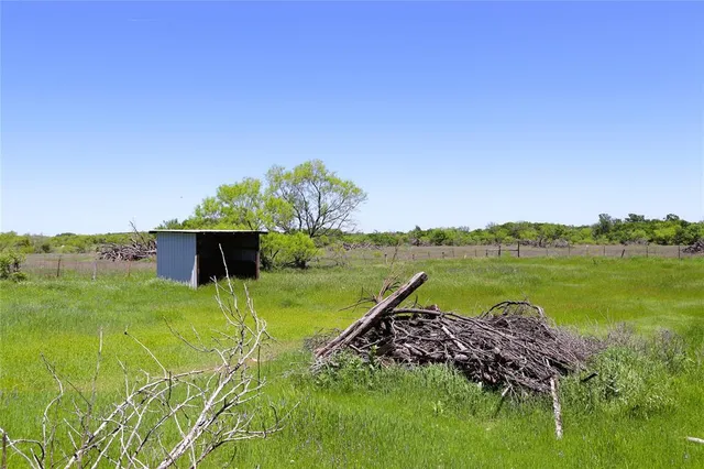 a view of a garden with an outdoor space