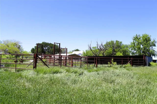 a view of a green field with lots of bushes