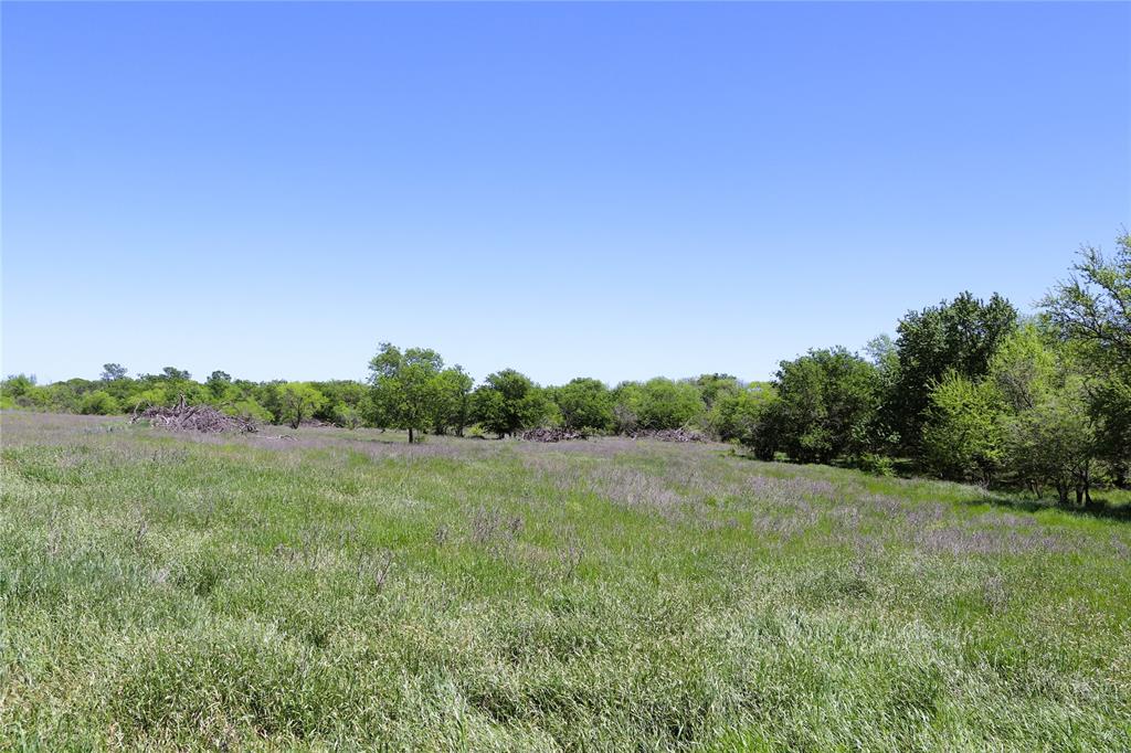 10543 Old Joy Shannon Road Henrietta, TX 76365 - Photo 29 of 36 a view of field with large trees