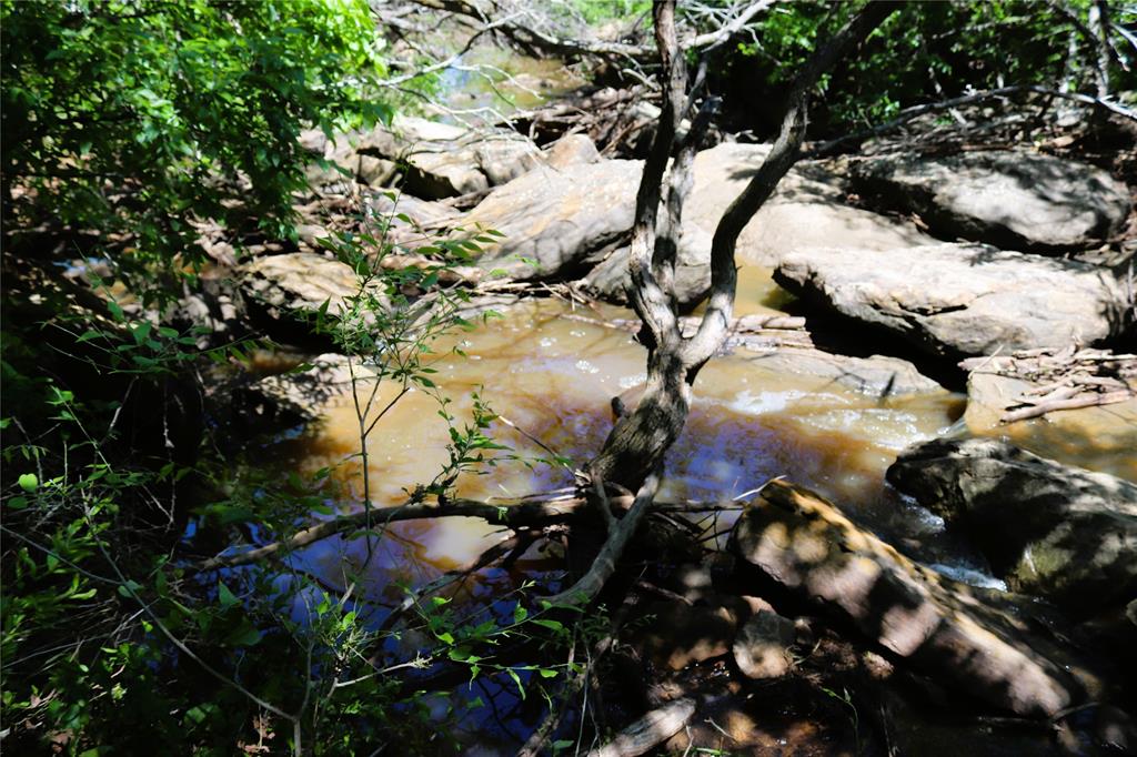 10543 Old Joy Shannon Road Henrietta, TX 76365 - Photo 31 of 36 a picture of tree