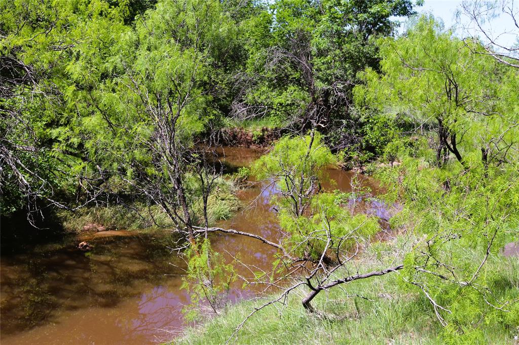 10543 Old Joy Shannon Road Henrietta, TX 76365 - Photo 33 of 36 a picture of plants