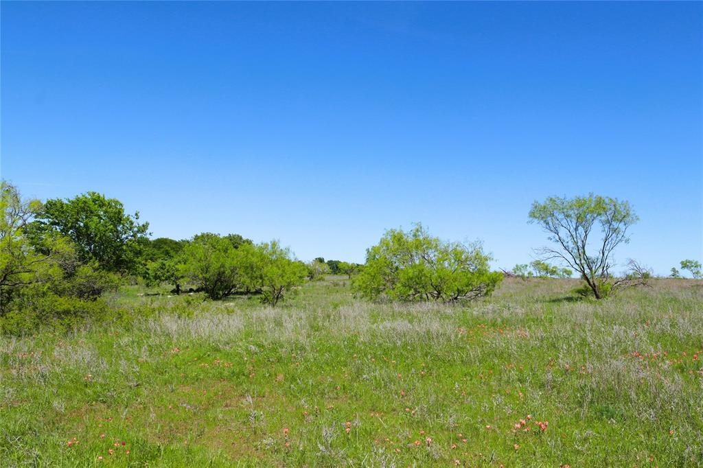10543 Old Joy Shannon Road Henrietta, TX 76365 - Photo 35 of 36 a view of a lake view with a garden