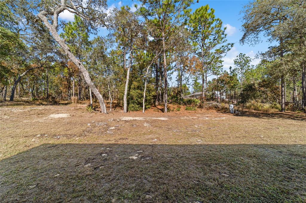 13359 Southwest 80th Street Dunnellon, FL 34432 - Photo 60 of 64 a view of road with trees