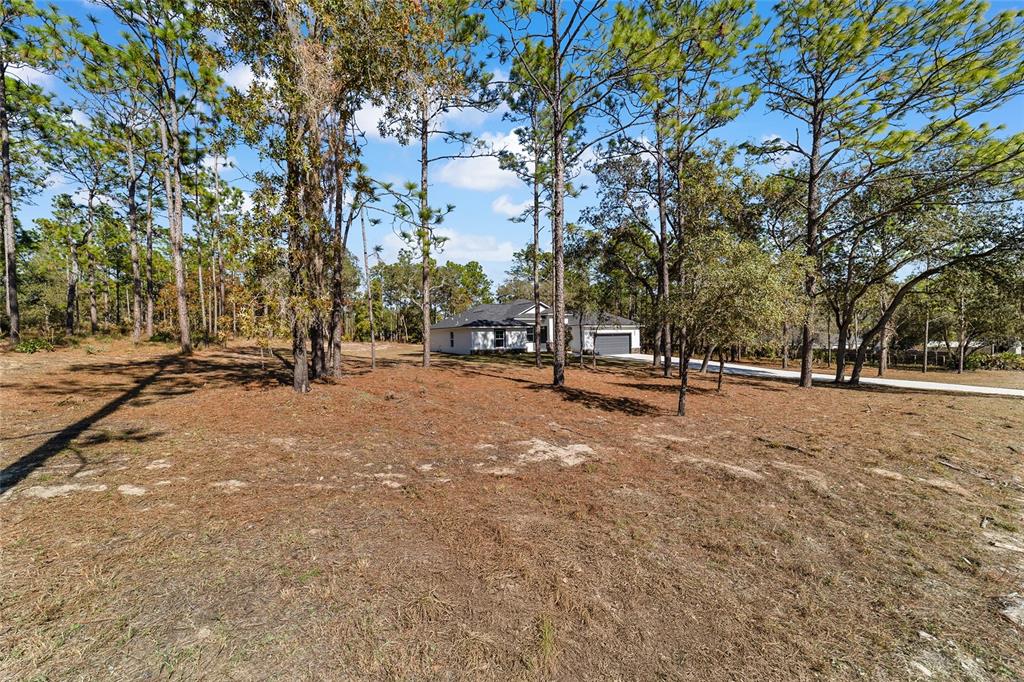 13359 Southwest 80th Street Dunnellon, FL 34432 - Photo 64 of 64 a view of park with trees