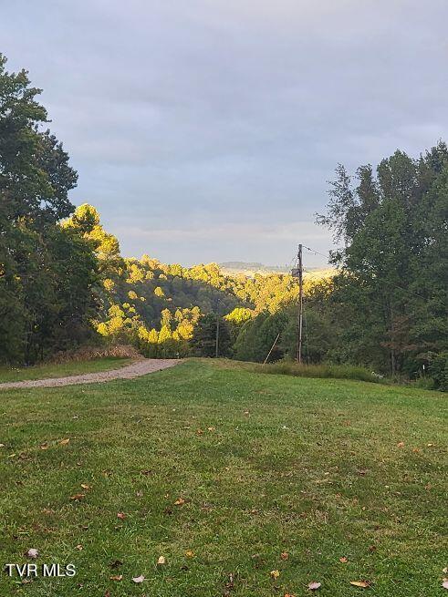 1965 Carterton Road Lebanon, VA 24266 - Photo 43 of 71 carterton9