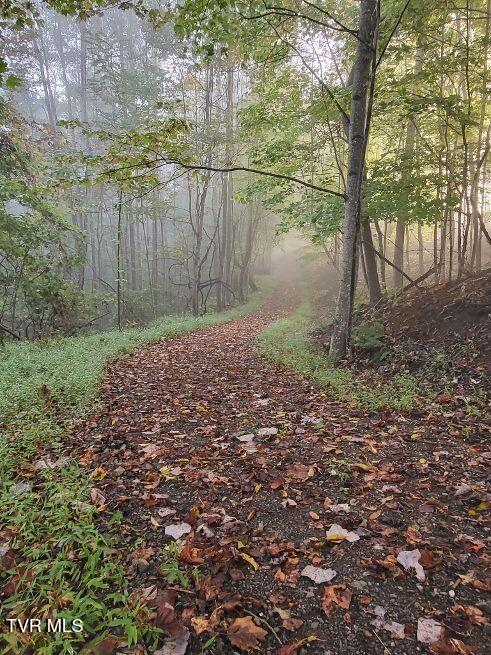 1965 Carterton Road Lebanon, VA 24266 - Photo 6 of 71 carterton11