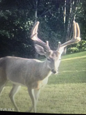 $649,000 | 1965 Carterton Road, Lebanon, VA 24266