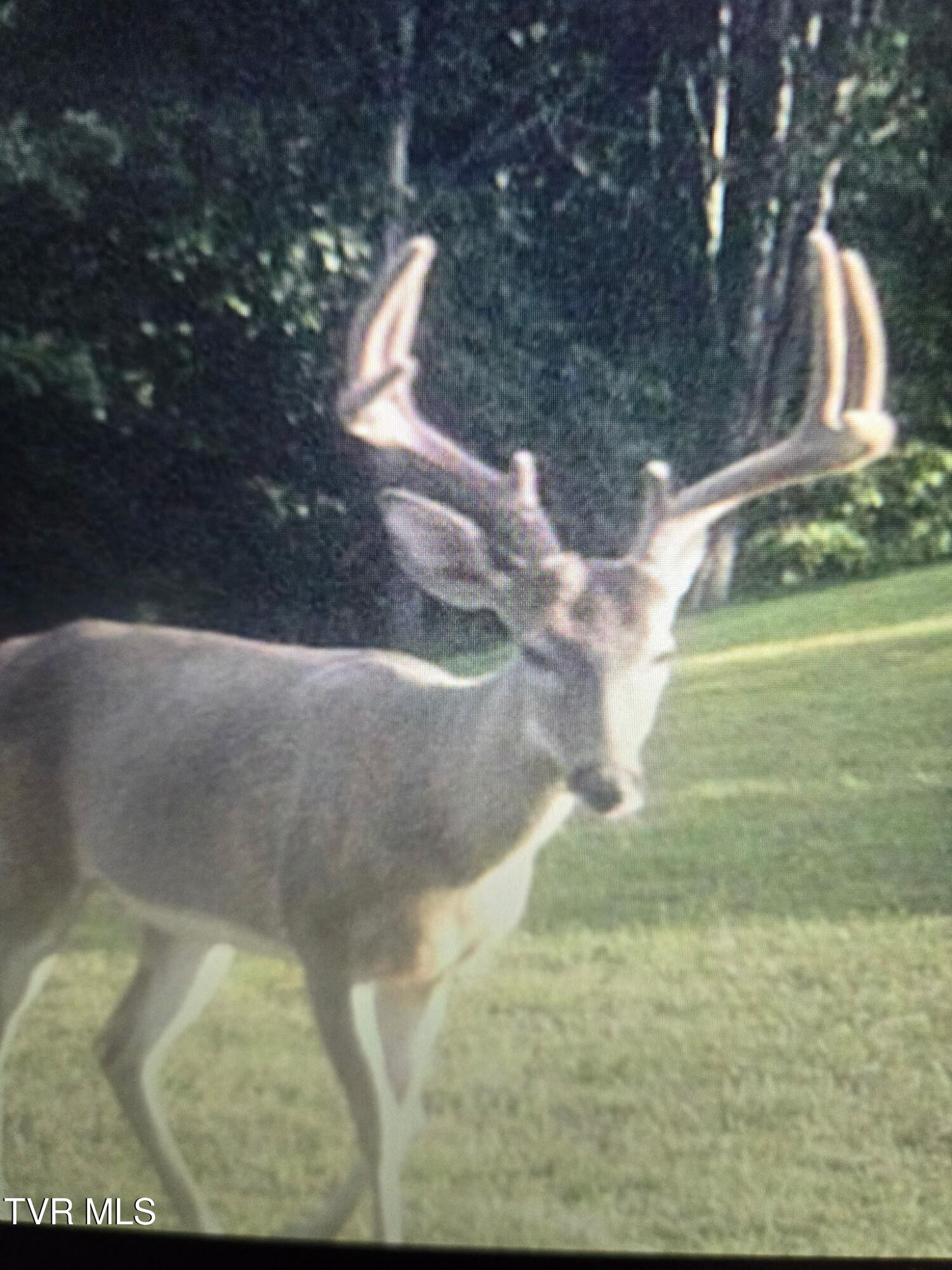 1965 Carterton Road Lebanon, VA 24266 - Photo 7 of 71 4296779235427449388
