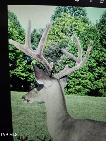 $649,000 | 1965 Carterton Road, Lebanon, VA 24266