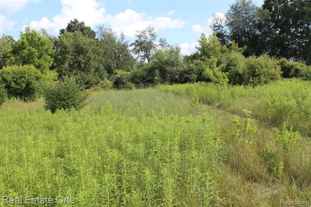 0 Norton Road Howell, MI 48843 - Photo 18 of 26 Gallery Image 18