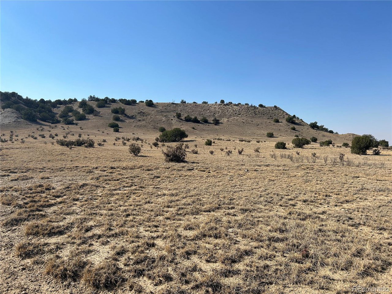 40 Las Animas Ranch Model, CO 81059 - Photo 14 of 17