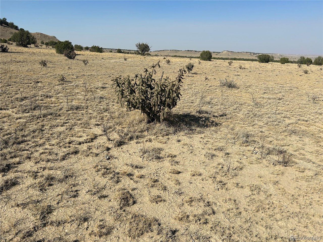 40 Las Animas Ranch Model, CO 81059 - Photo 7 of 17