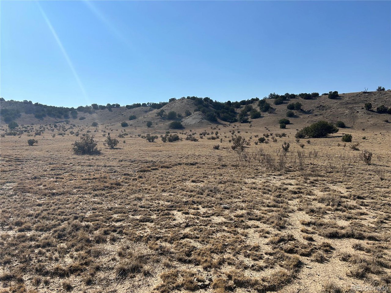 40 Las Animas Ranch Model, CO 81059 - Photo 8 of 17