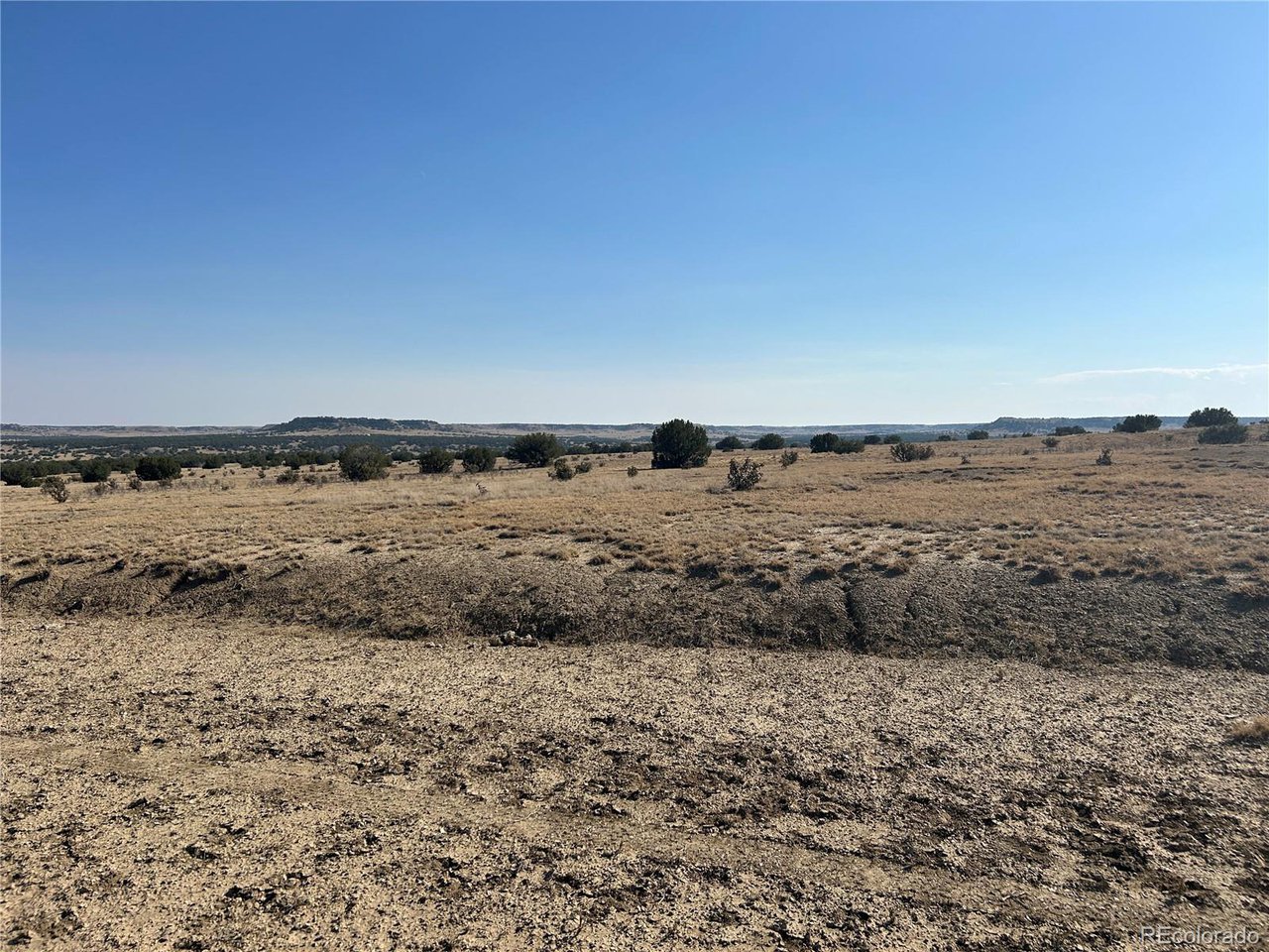 40 Las Animas Ranch Model, CO 81059 - Photo 10 of 17