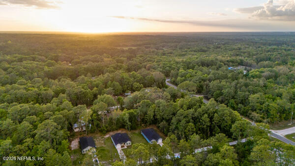 407 Rustic Road Satsuma, FL 32189 - Photo 49 of 55 an aerial view of house with yard and mountain view in back
